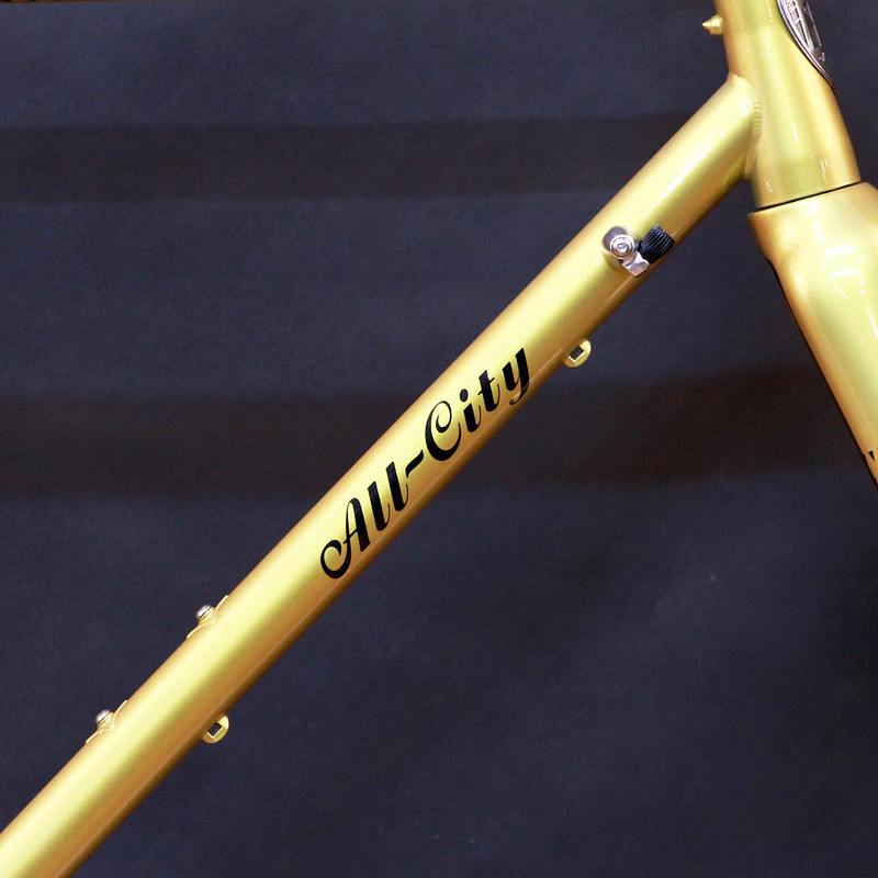 allcity zigzagサイズ55フレーム.フォーク.ヘッドのみオールシティ All