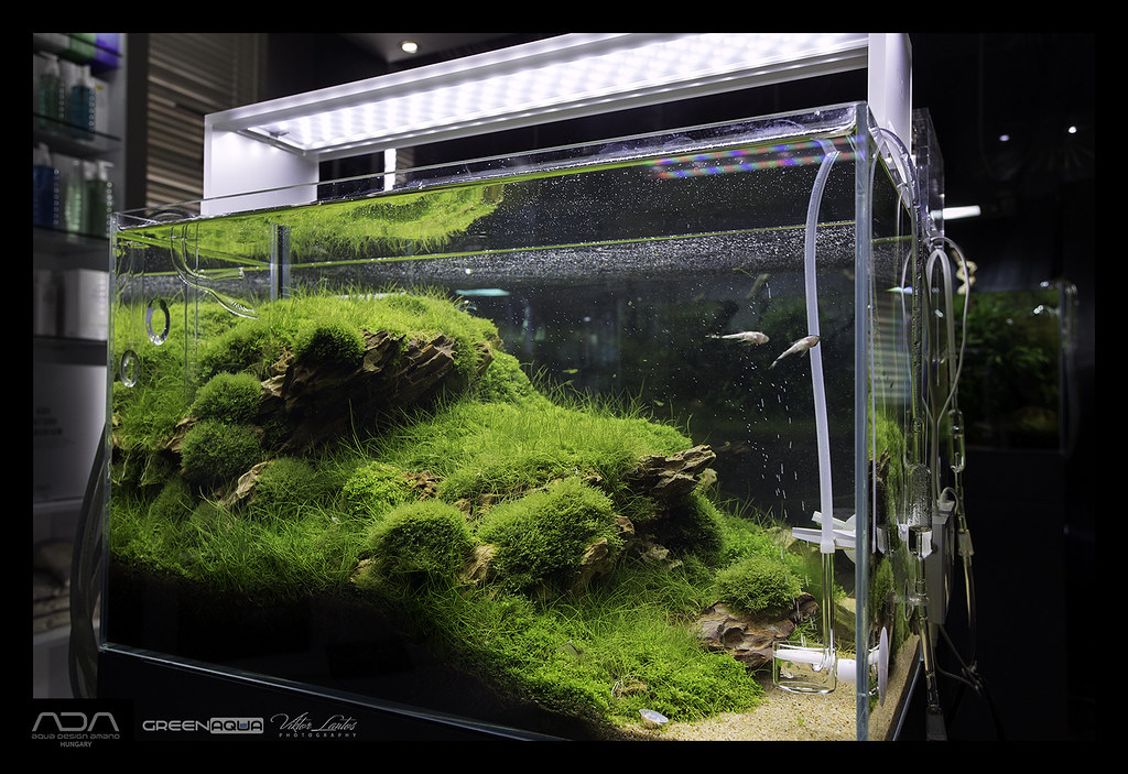 ADA Aquasky Moon 601 | Aquasky Moon is here from ADA Japan! … | Flickr