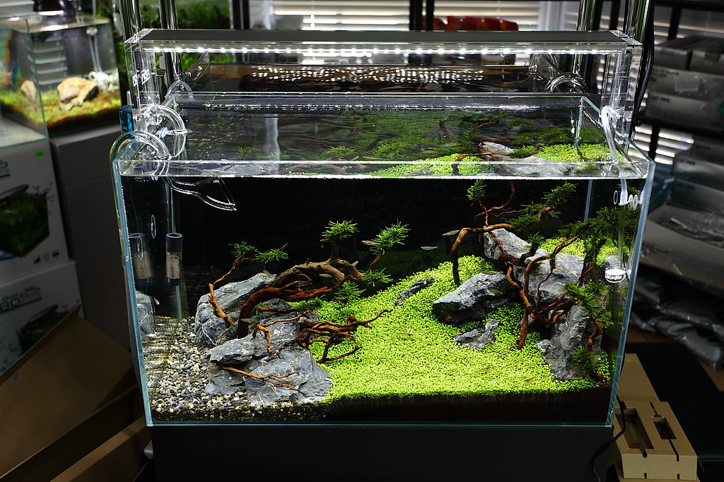 ADA Aquasky 601 LED light | The new ADA Aquasky 601 and 602 … | Flickr