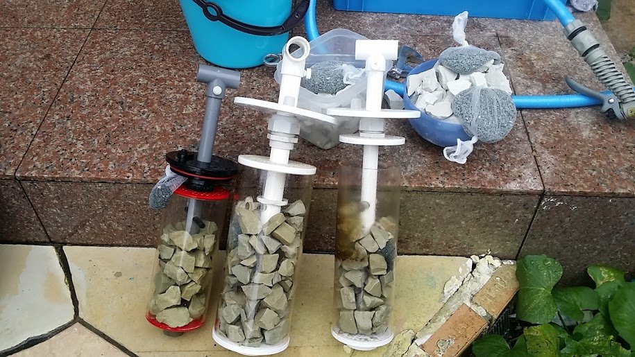 ゼオライトリアクター : べっぴん珊瑚