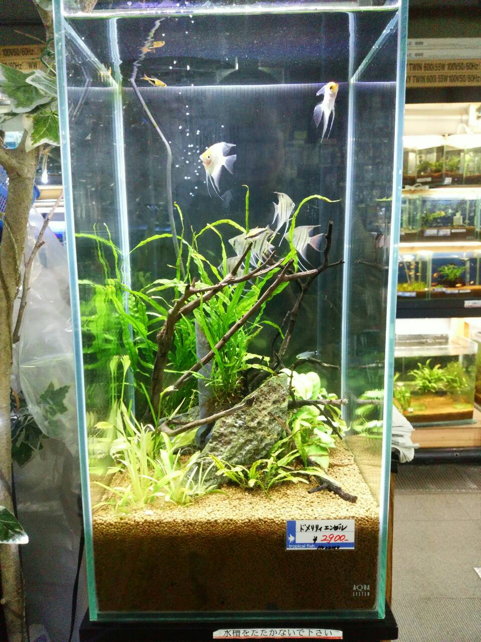 30ハイタイプの立ち上げ キラキラ光ってる(๑•̀ㅂ•́)و