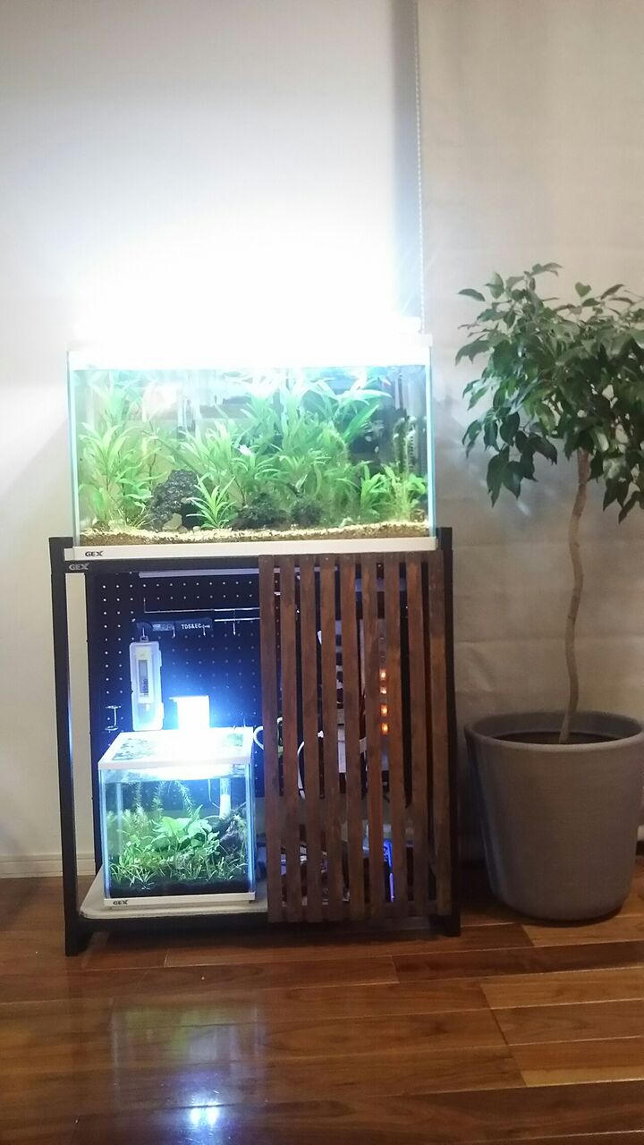 GEX水槽60センチと水槽台
