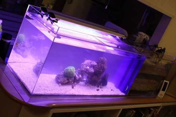 日海センター かんたん槽NK-90 世界のとれたて海水魚(通信販売)の日海