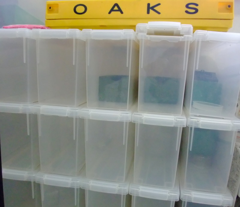 ヘラクレス幼虫飼育ケースいれと庫(文庫本）使用品7個 シューズケース6個