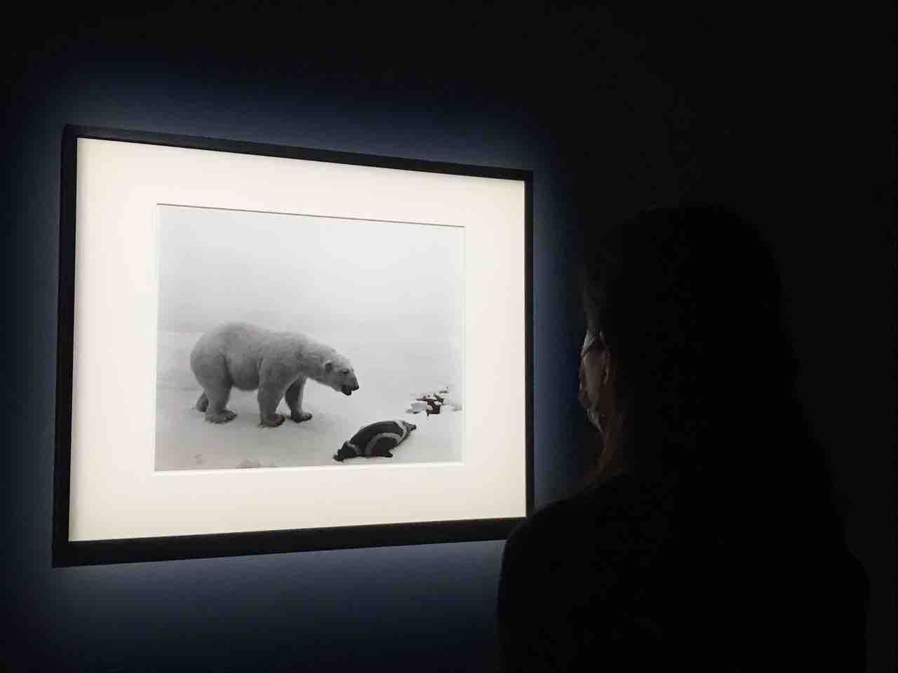 草間彌生、村上隆らの作品が集結！『STARS展：現代美術のスターたち
