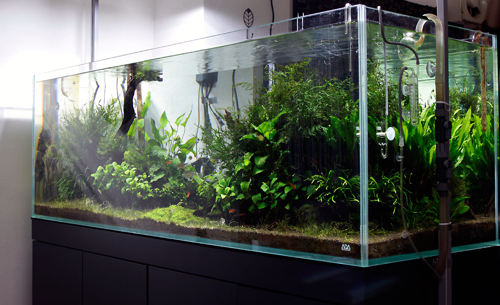 ADA キューブガーデン90×45×45 水槽 こんばんは！ 今は廃盤になって