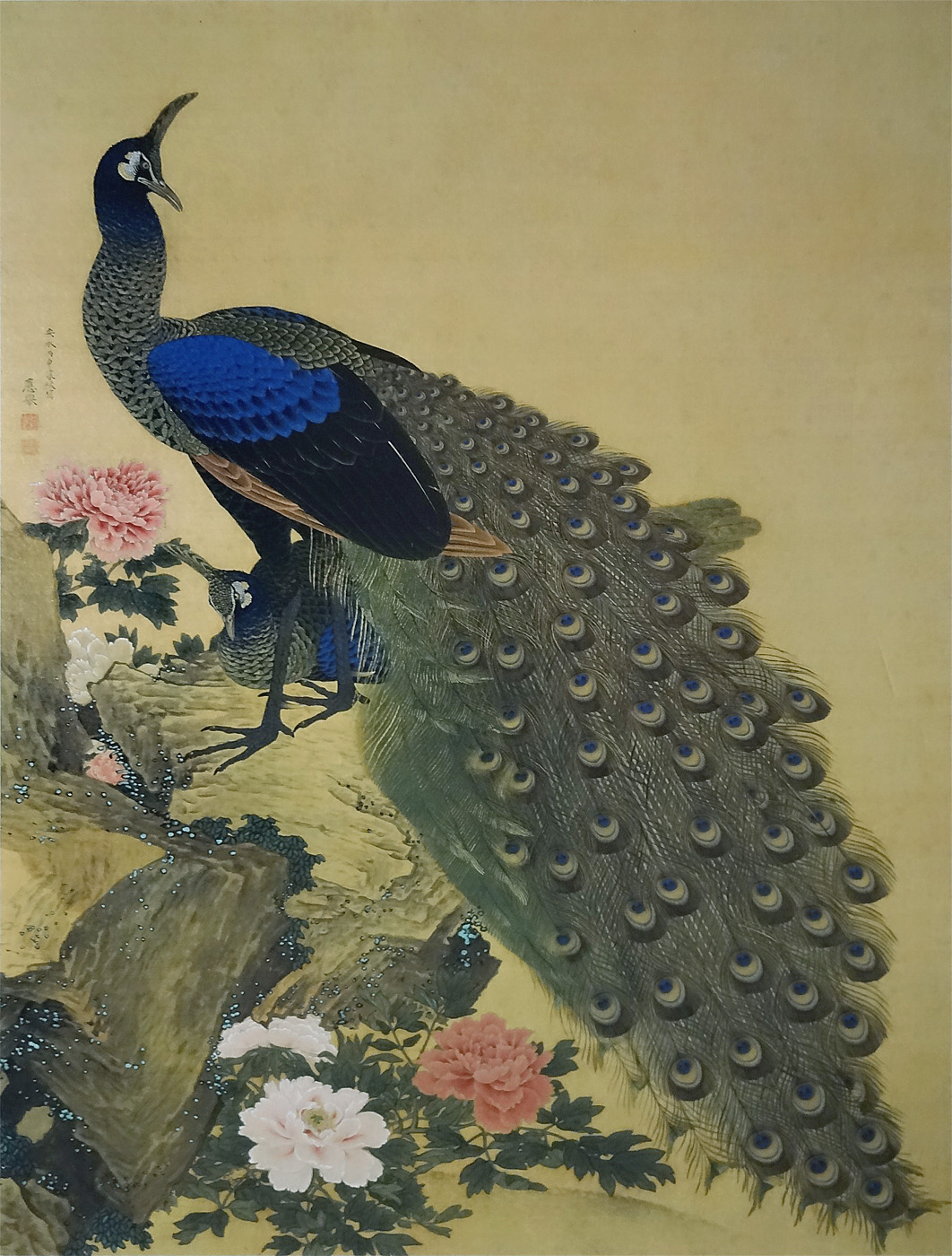 10年保証 掛け軸 牡丹孔雀図 (ぼたんくじゃくず) 円山応挙 新絹本 高