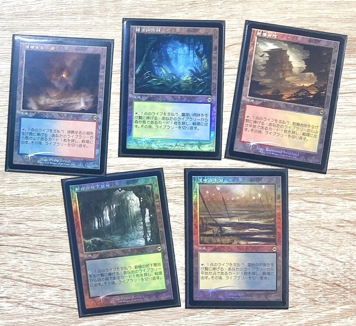 MTG フェッチランド 旧枠エッチングfoil 5枚セット 沸騰する小湖 MTG