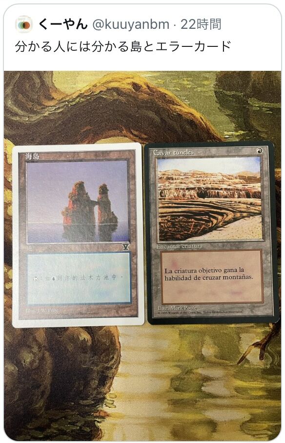 MTG 生命吸収 中国語 簡体字Ⅴ5版 4枚セット 生命吸収/Drain Life