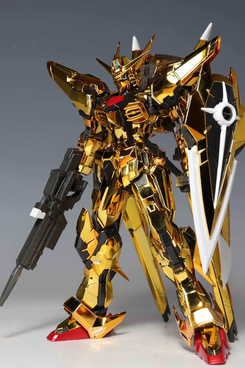 ショップ 【未開封】RG アカツキガンダム(オオワシ装備) (RG