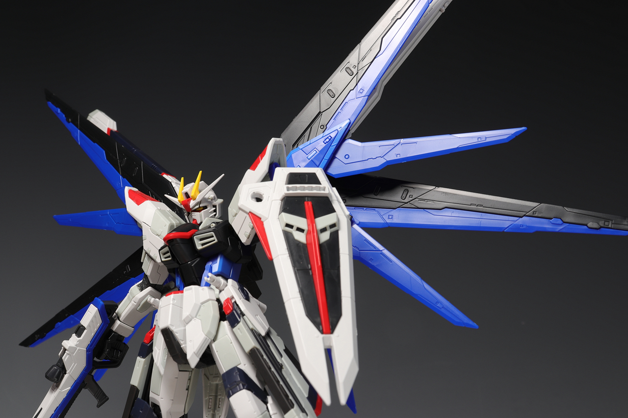 RG フリーダムガンダム Ver.GCP : デンデロの消失