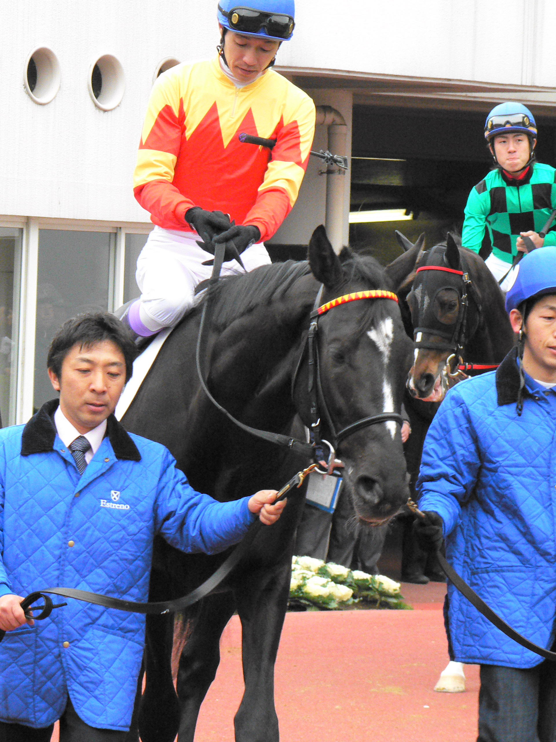 フサイチジャンク フサイチリシャール フサイチエアデール 口取写真