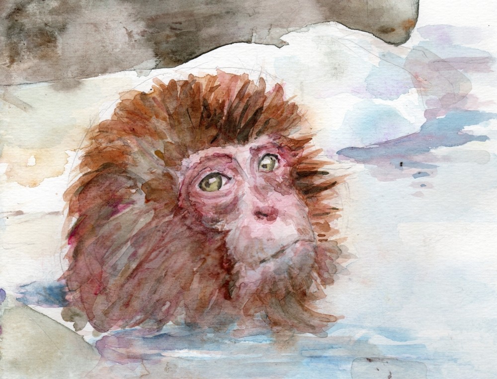 温泉の猿 : 夢色彩々―水彩画、スケッチ帳