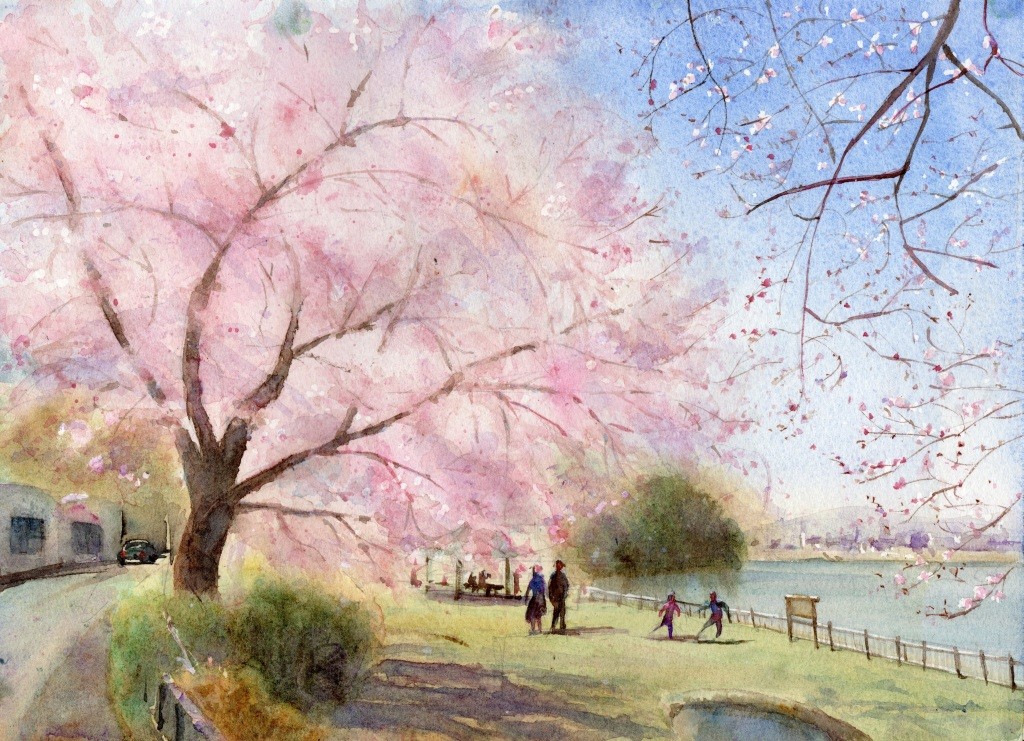 41㎝角「朝の桜」油彩・原画・S6 41㎝角「朝の桜」油彩・原画・S6