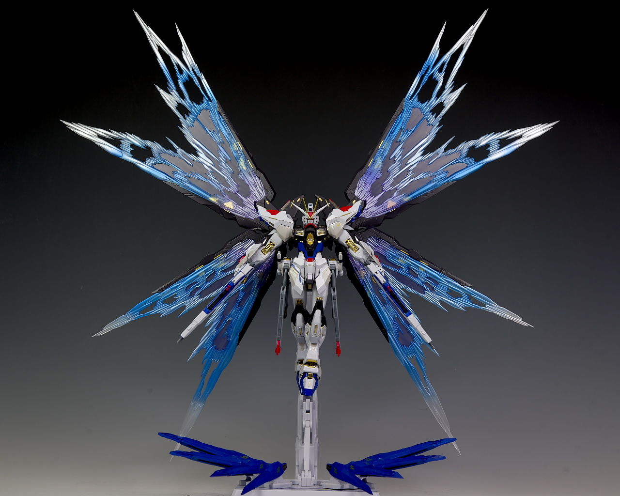 メタルビルド ストライクフリーダムガンダム&光の翼オプション