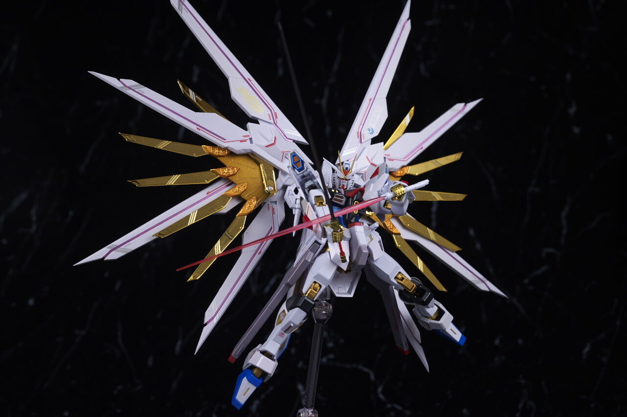 LROBOT魂 ストライクフリーダムガンダム弐式、プラウドディフェンダー