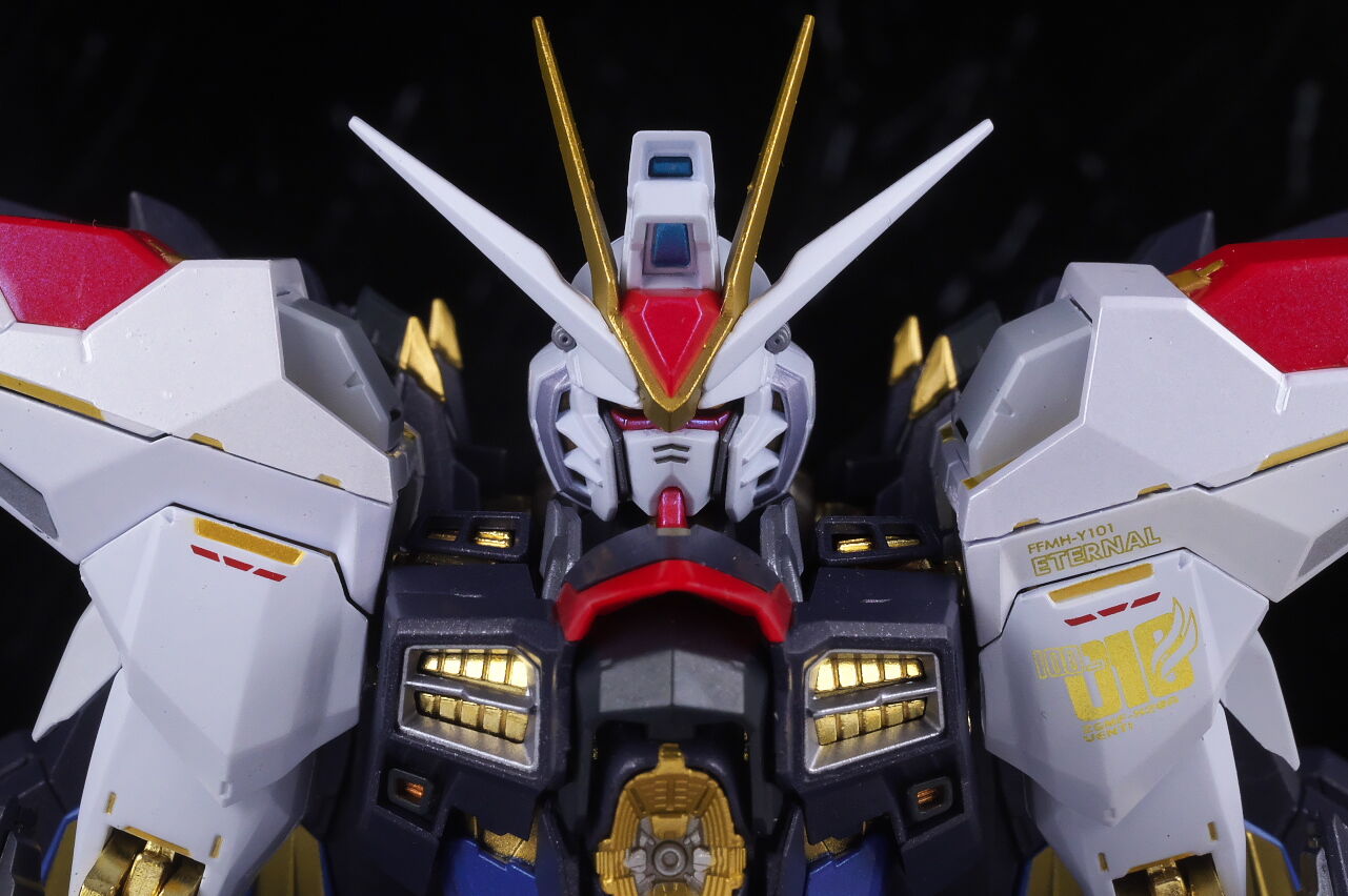 新品未開封METALBUILDメタルビルド ストライクフリーダムガンダム2024