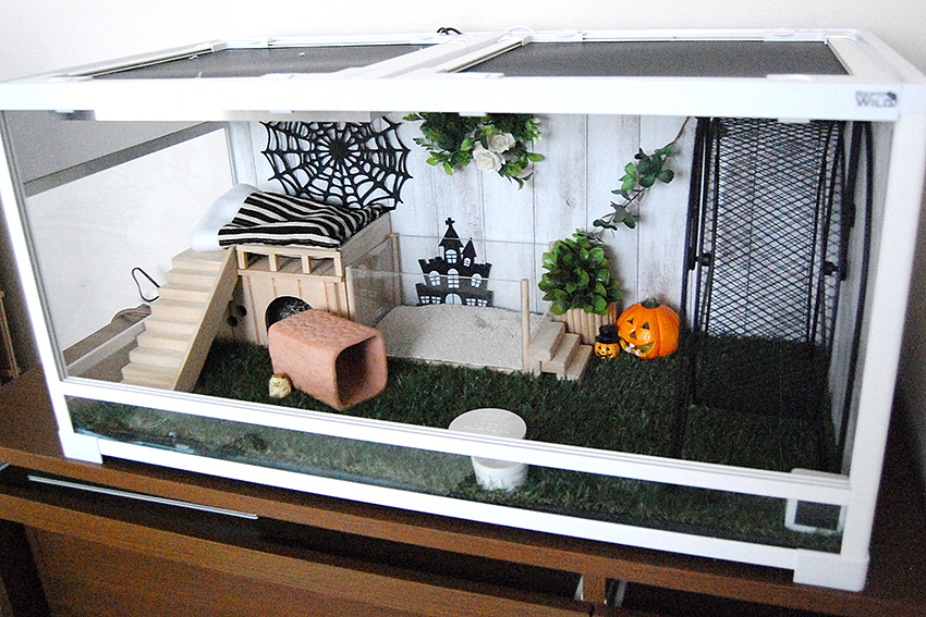 パンテオン 9045 爬虫類ケージ ハリネズミ飼育にもおすすめ SANKO】三