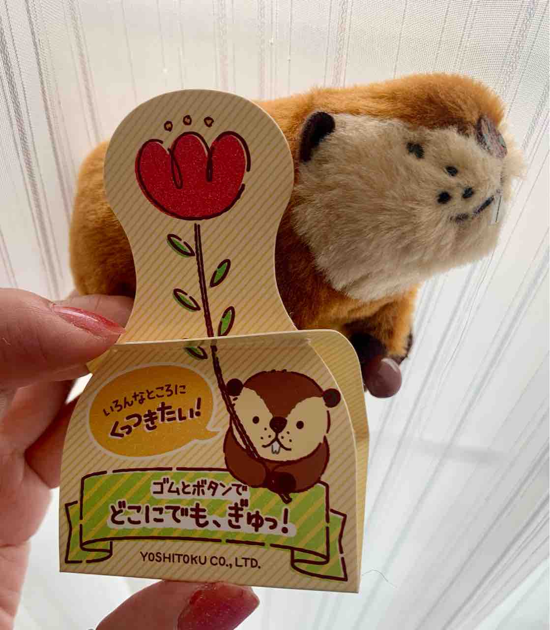 SUPER SUPER BEAVER スーパービーバーちゃん ぬいぐるみ BEAVER