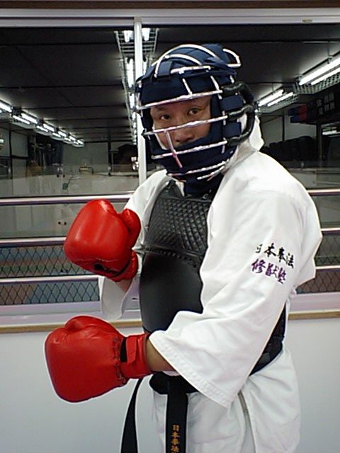 渭水 グローブ 日本拳法 徳大式 大人 日本拳法 防具 (徳大式グローブ)