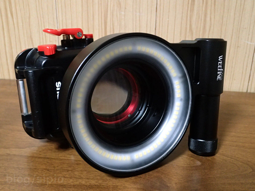 WEEFINE リングライト1000で試し撮り : いろんなところで潜りたい