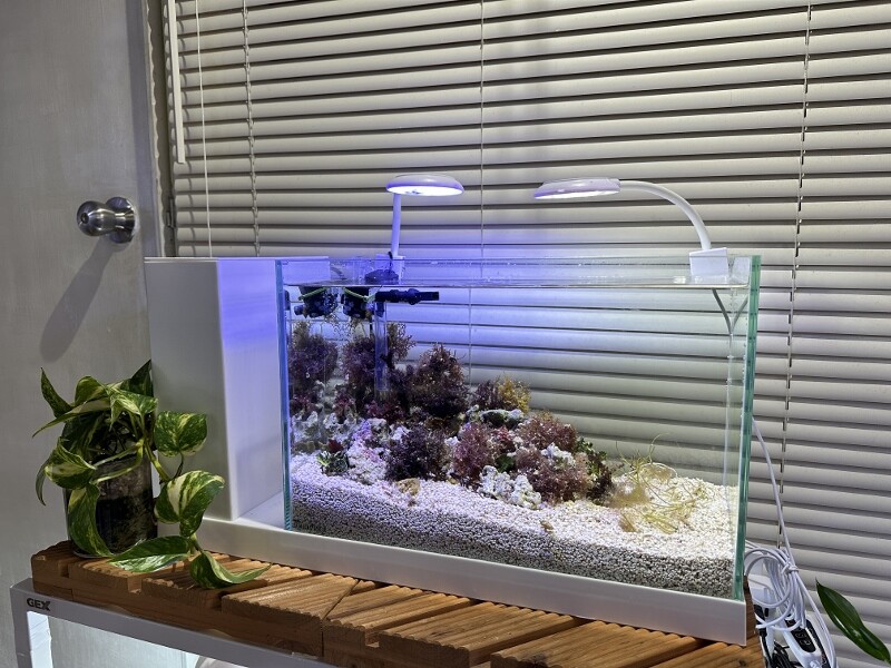 AQUA-U WIDE オールインワン水槽 GEX aquarista AQUA-U WIDE 2.0 White