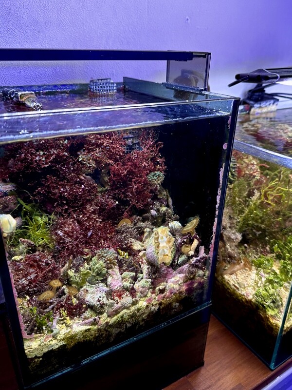 Mini Over Flow System 〜GEX Glassterior AGS SLIDE OF-230～ : SONO