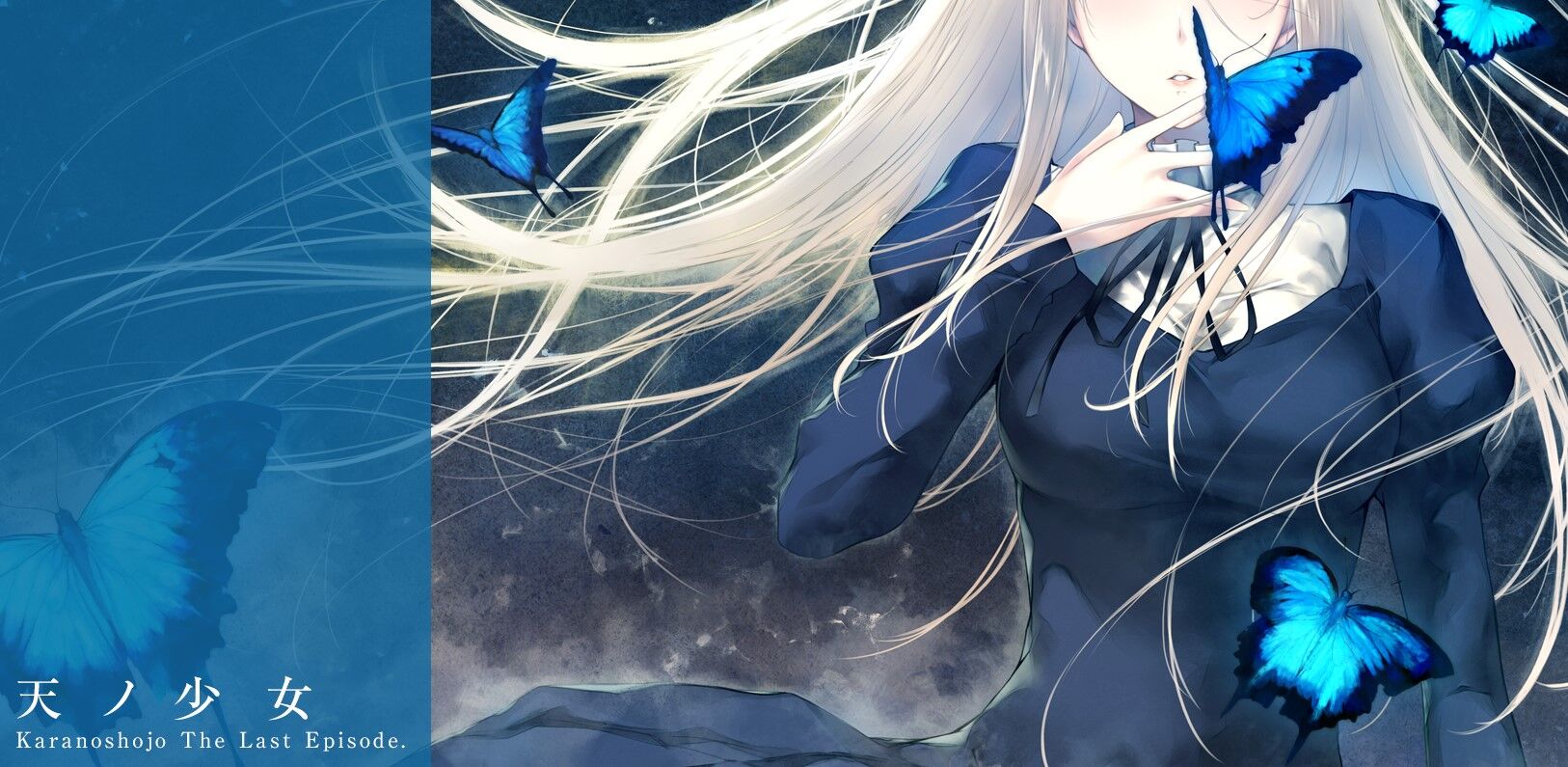 殻ノ少女 ジークレ版画 孵化 杉菜水姫 InnocentGrey 殻ノ少女 ジークレ