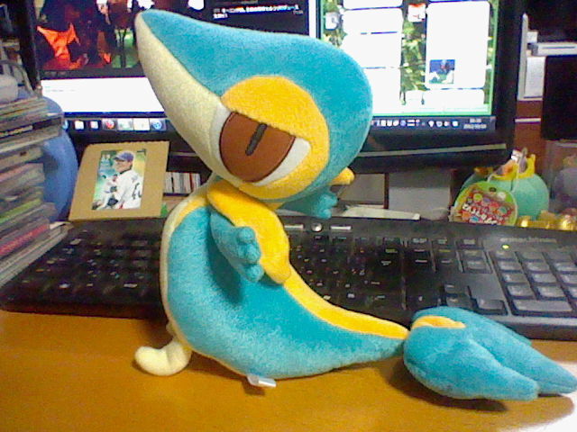 ポカブ 色違い ぬいぐるみ 色違いのツタージャ・ポカブ・ミジュマル