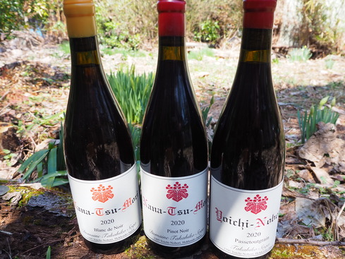 ドメーヌタカヒコ ナナツモリ2020 ブラン・ド・ノワール ドメーヌ