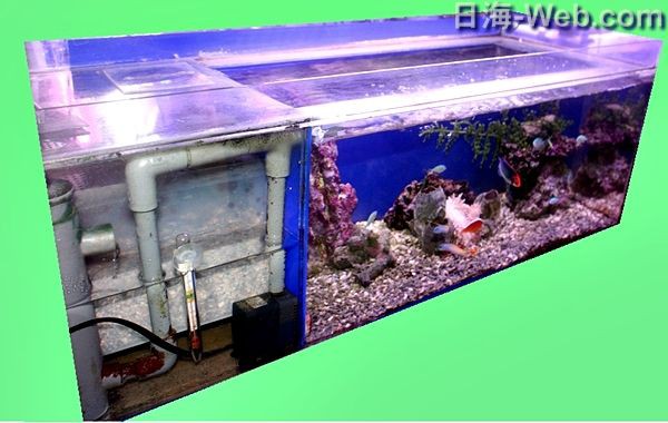 日海センター かんたん槽NK-90 世界のとれたて海水魚(通信販売)の日海