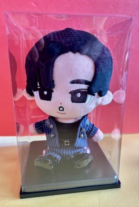 セリアで買ったすのチル収納ケースとコーンアイス : 猫だらけ Powered