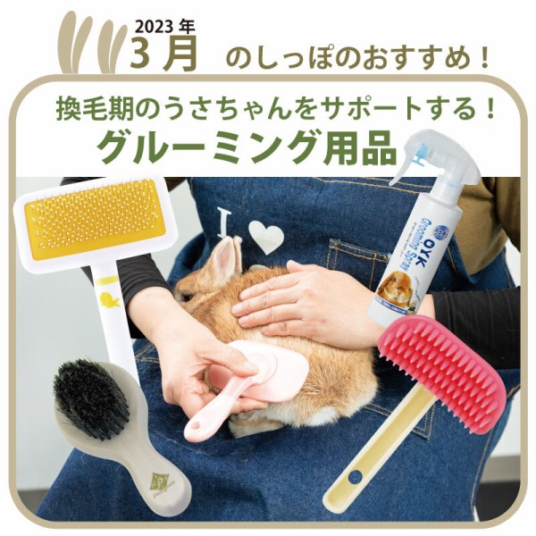 うさぎのしっぽ プロケージ60 完全未開封品 うさぎのしっぽ通販は