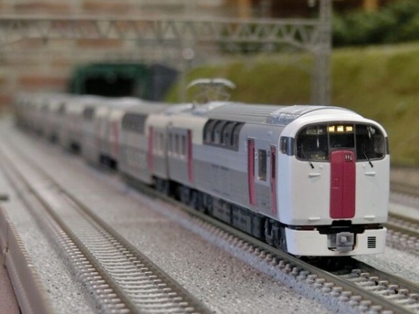 マイクロエース改 215系2次車｢ホリデー快速ビューやまなし｣ : 横浜西部