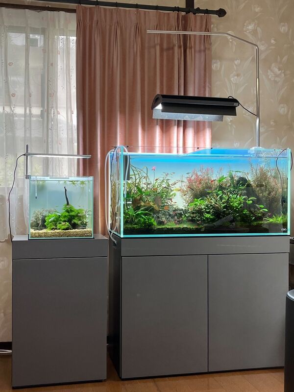 ada ウッドキャビネット 水槽台 ADA ウッドキャビネット