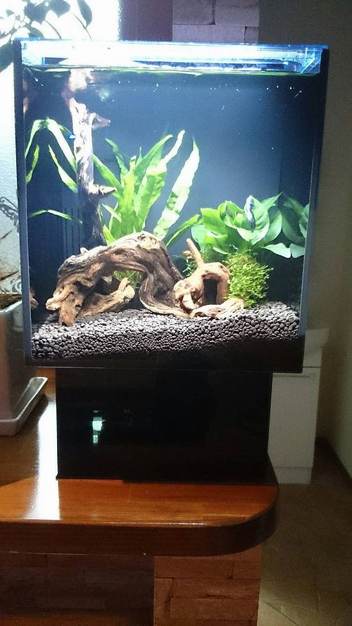 グラステリアAGS OF230 : アクアマリン