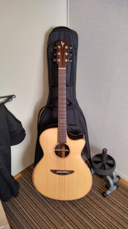 エレアコギター DCT GR742CE G-311CE LH AS | dct2019