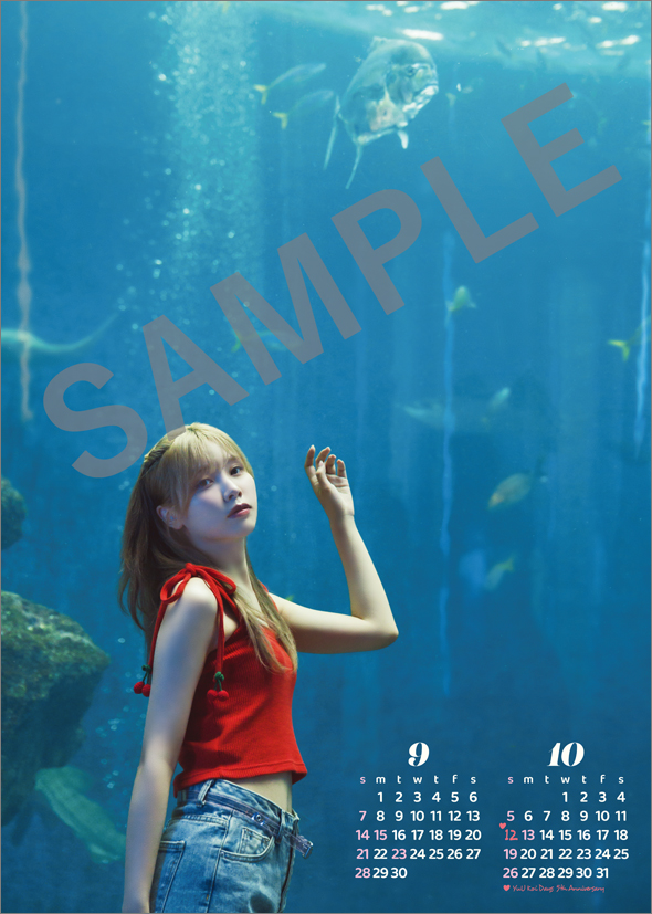 リーユウ トレーディングカード オリジナルバインダー Liyuu リーユウ