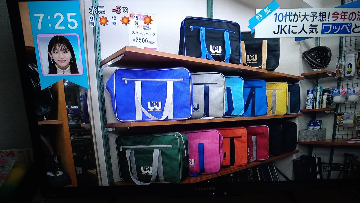 ワールドペガサス（WORLD PEGASUS） 2026モデル スクールバッグ ワッペ