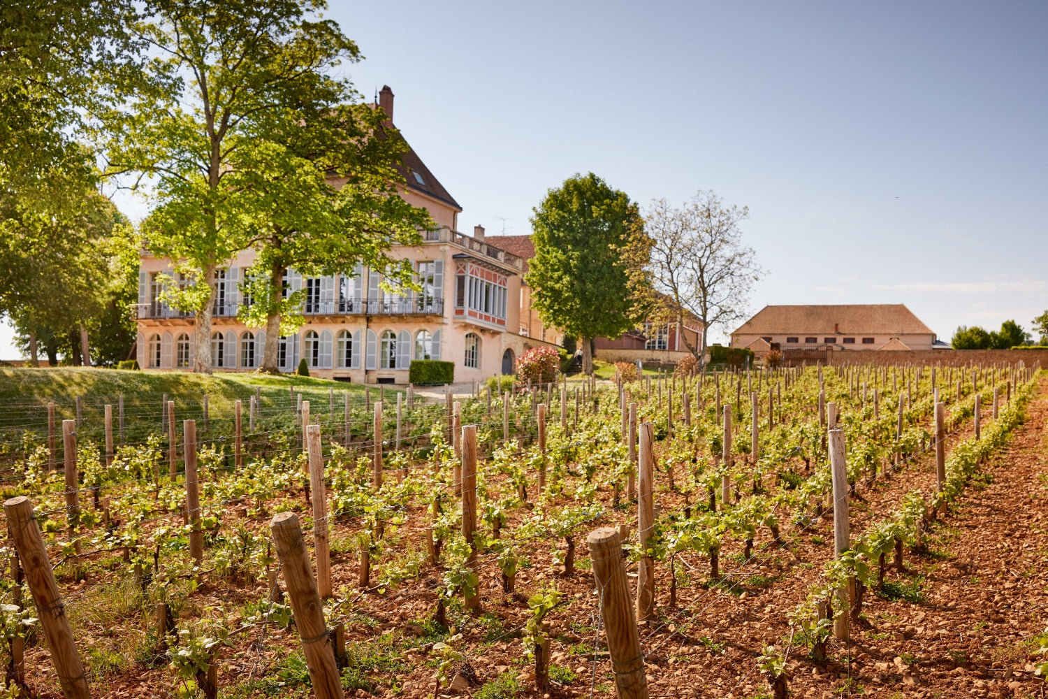 Louis Latour Chateau Corton Grancey – Louis Latour Inc