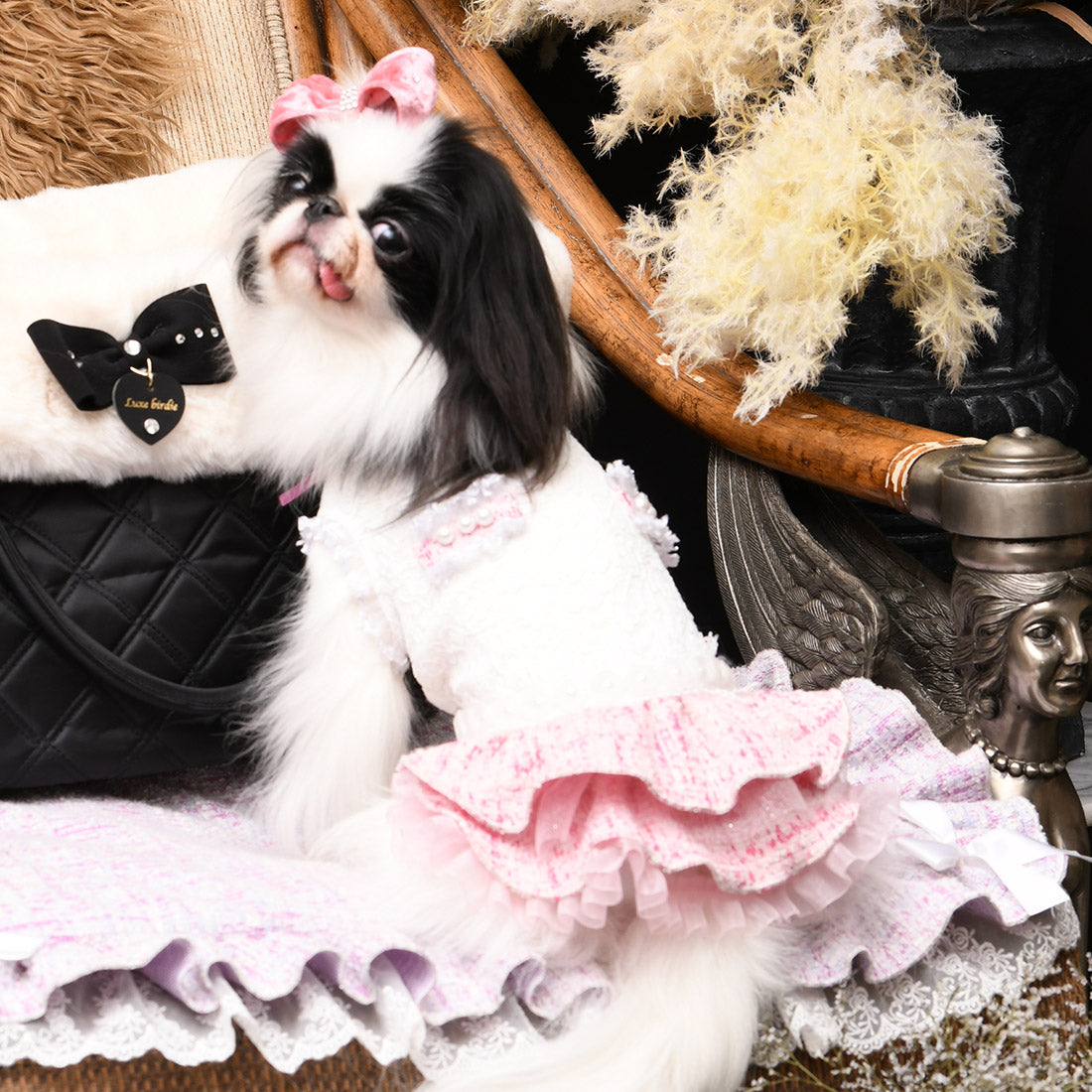 luxebirdieアデルSワンピジャケットバレッタ3点セットリュクスバーディ