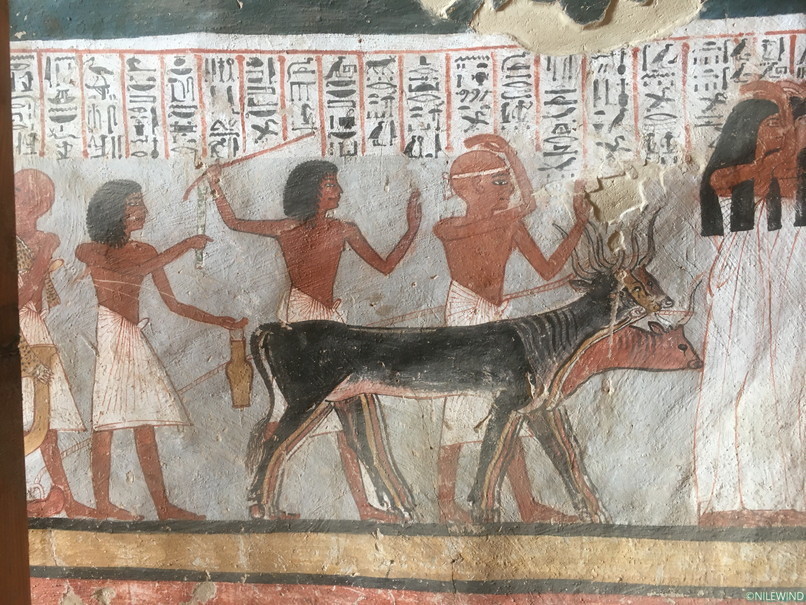 古代エジプト 壁画 ライオン図 R94-2 古代エジプト壁画ライオン図R94-2