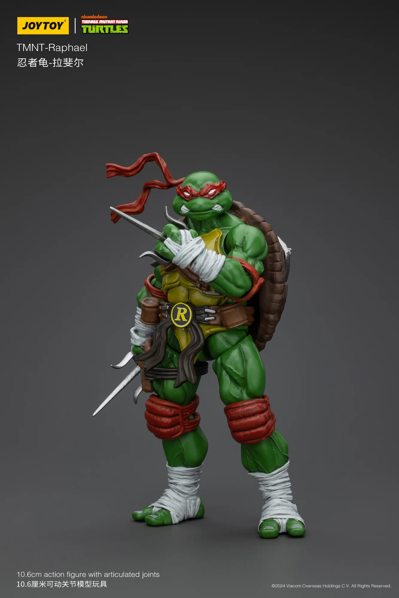 TMNT ティーンエイジ・ミュータント・ニンジャ・タートルズ