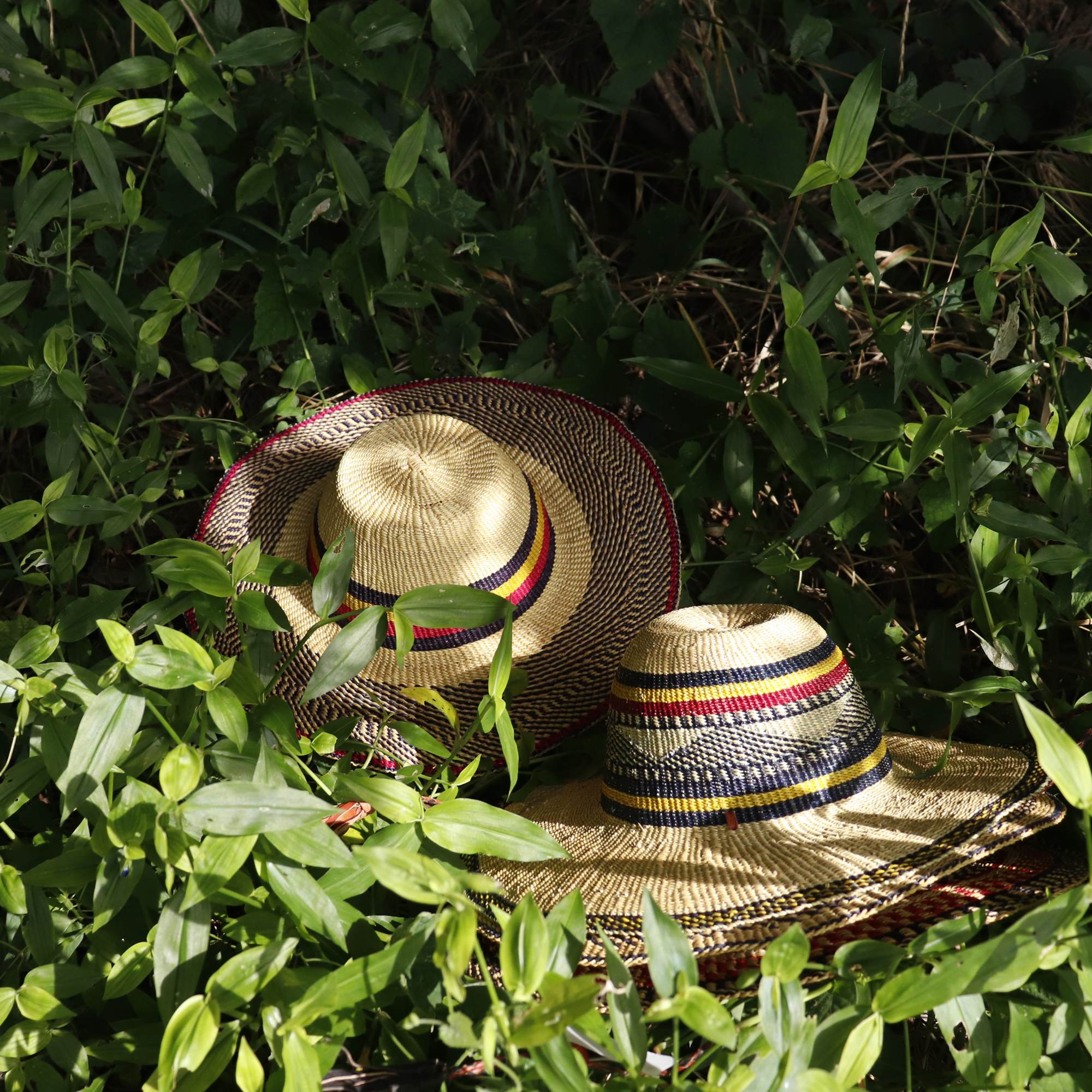 ブルキナハット | マンゴロベ