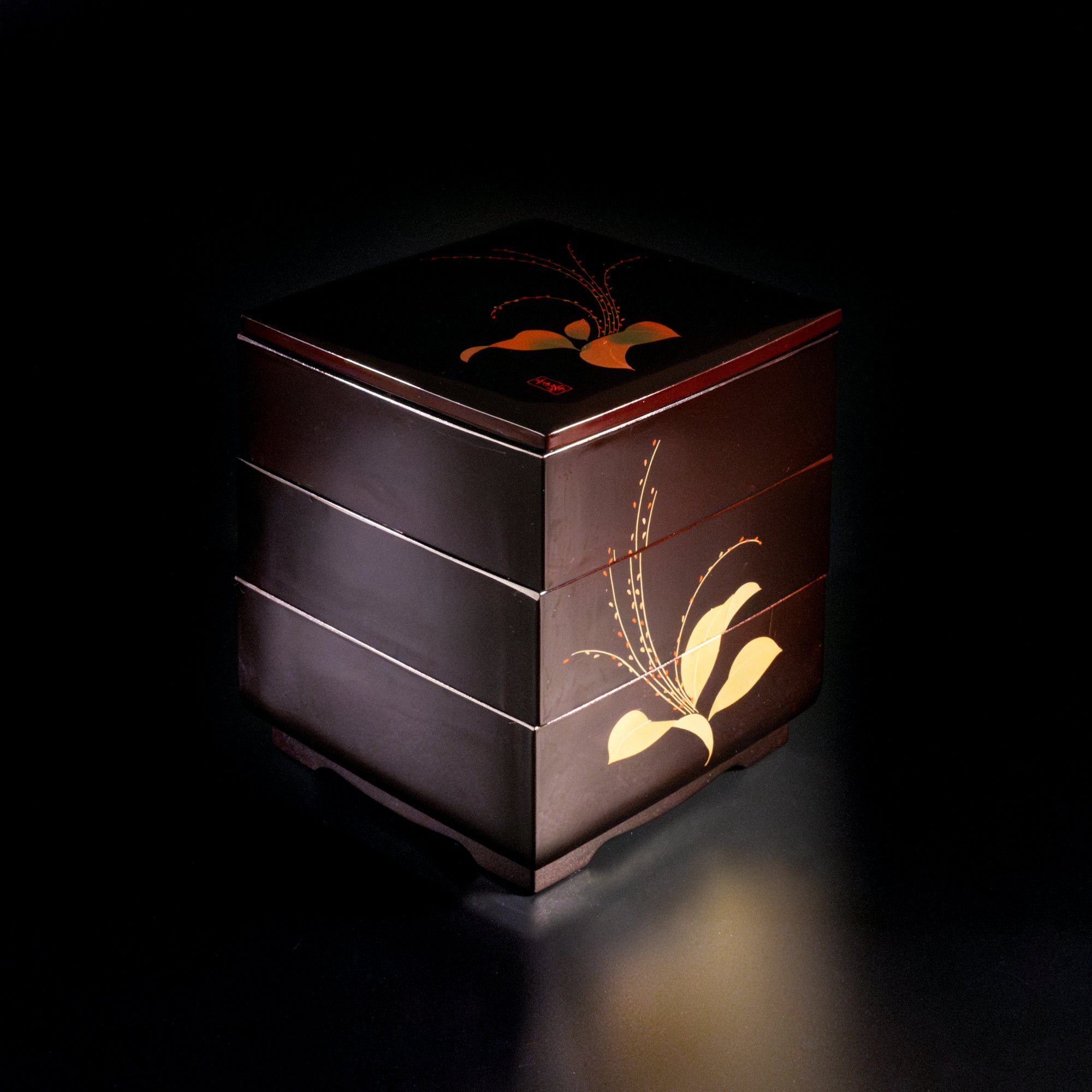 Manu2_00003.jpg?v=1728430079&