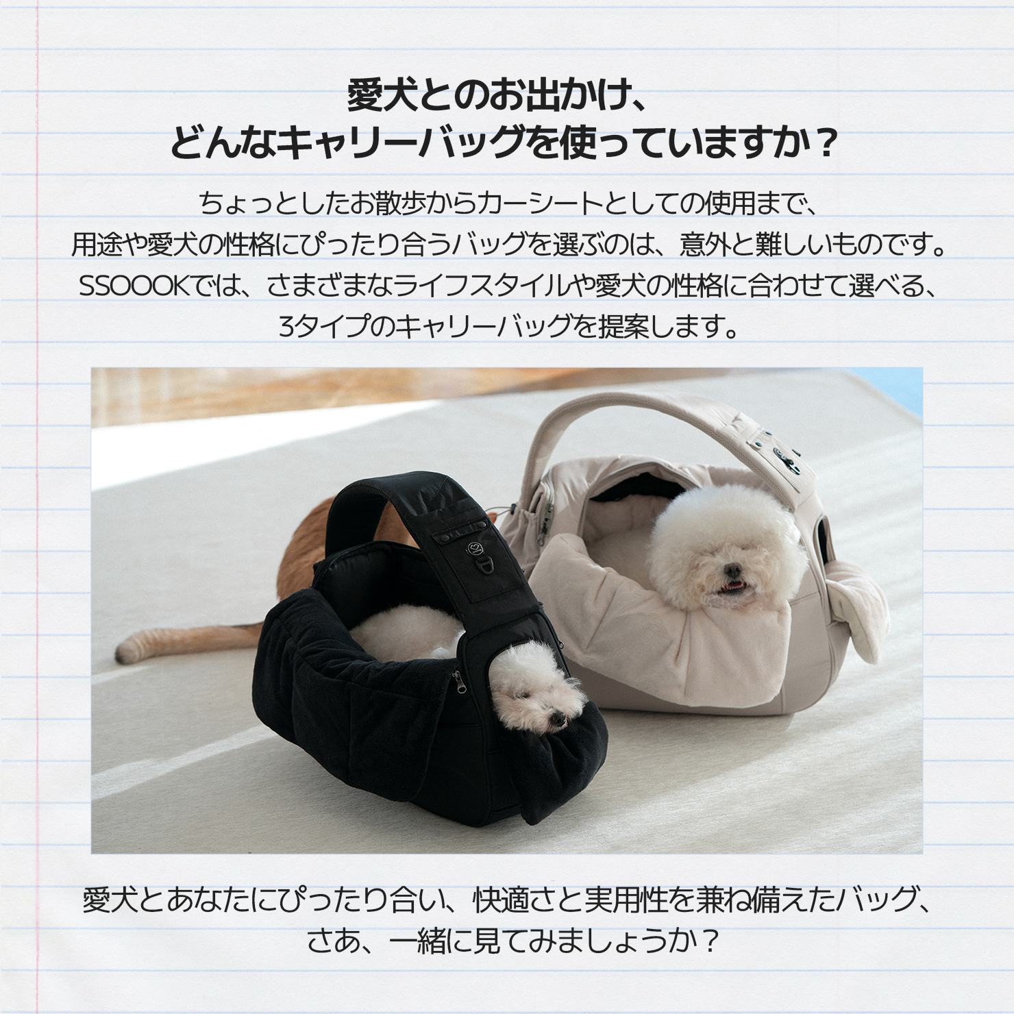 SSOOOKバッグ vs SSOOOKスリングバッグ、自分にぴったりのキャリー