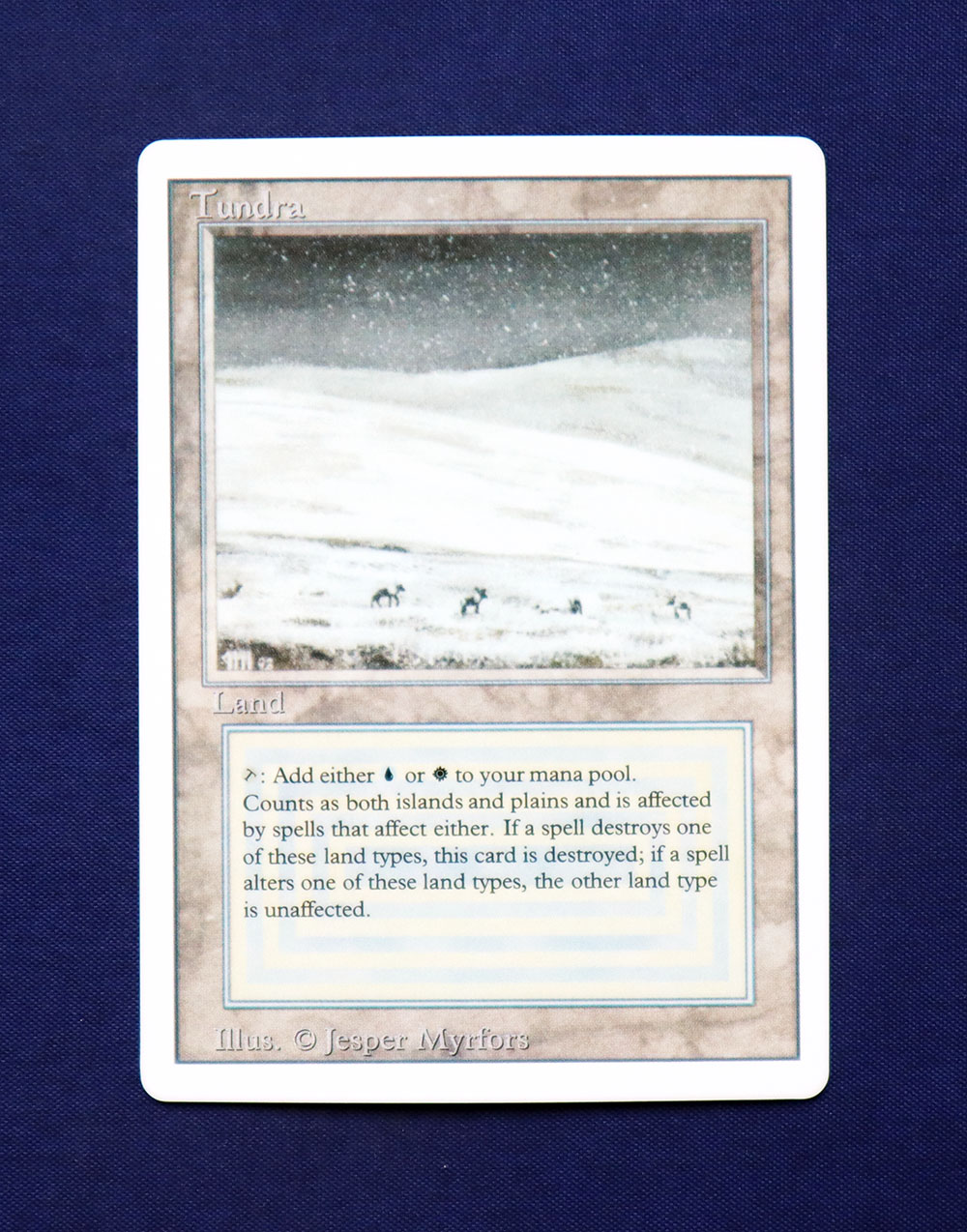 MTG 3ED リバイズド Tundra 1枚 MTG 3ED リバイズド Tundra 1枚 Tundra