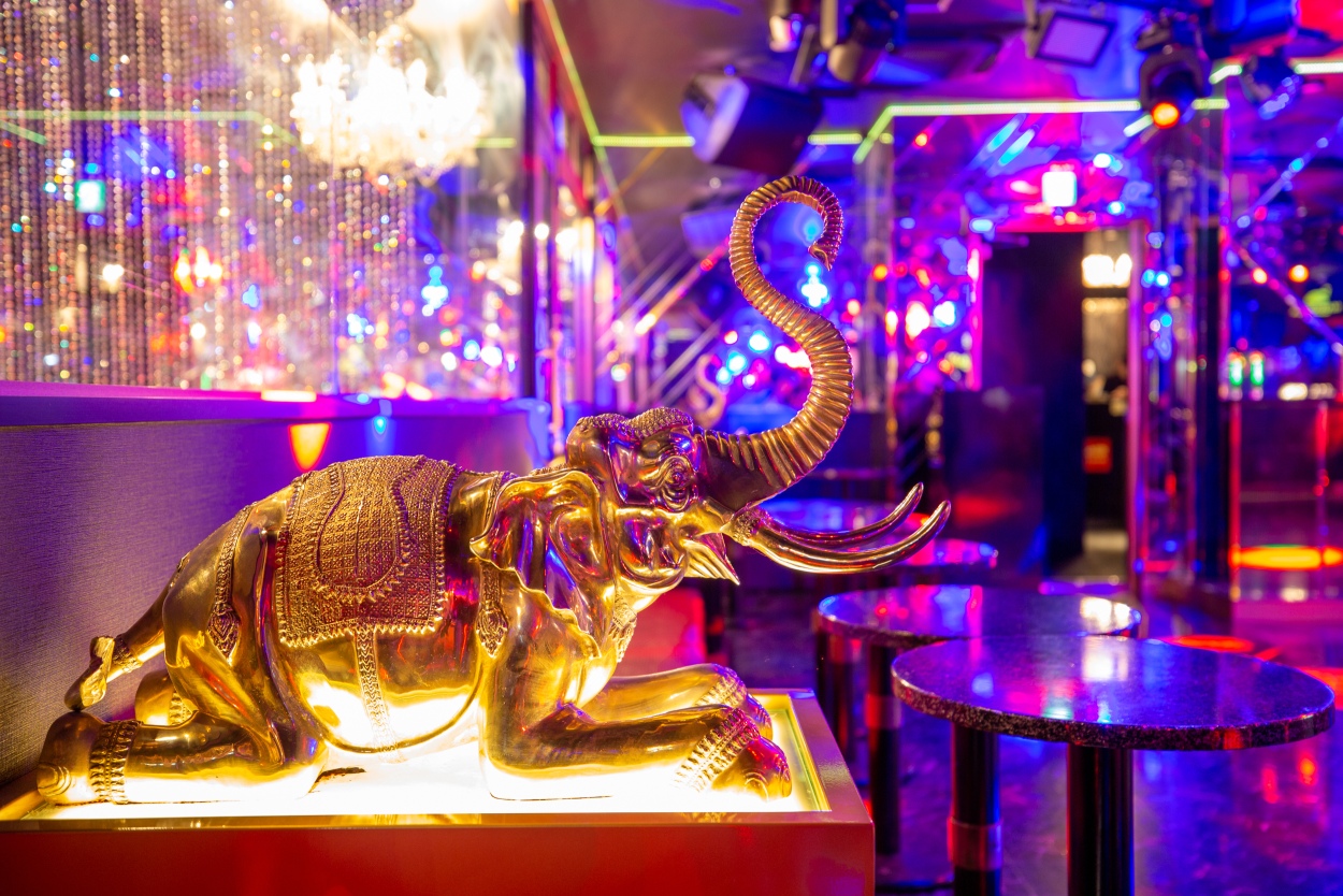 東京六本木DISCOMAHARAJA名刺入れマハラジャ昭和当時物