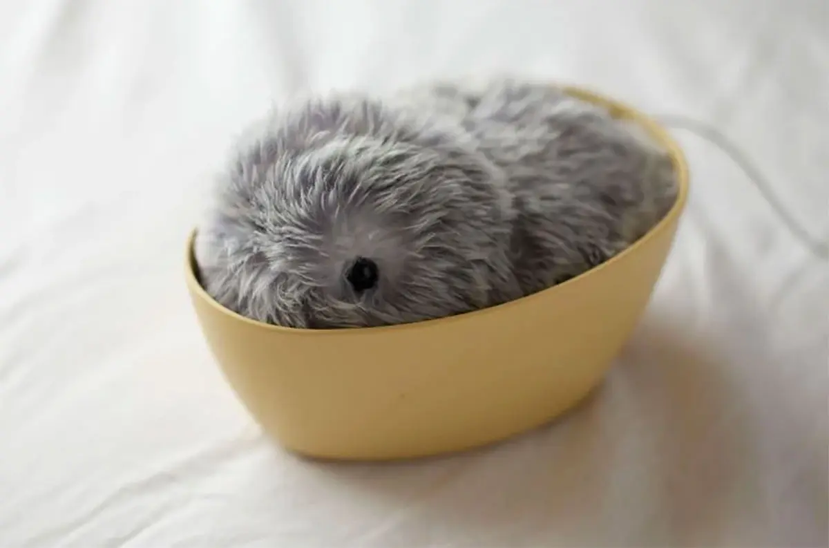 もふりん（MOFLIN）新世代AIペット型ロボットで特別な癒やし…いつ