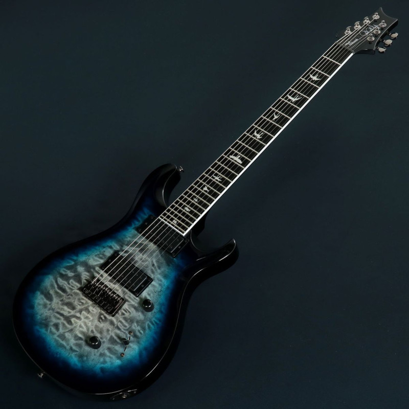 Paul Reed Smith (PRS) / SE Mark Holcomb SVN Holcomb Blue Burst